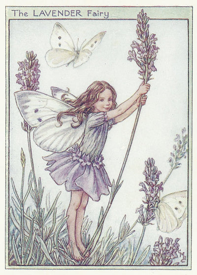 Lavender Flower Fairy old perfume vintage print