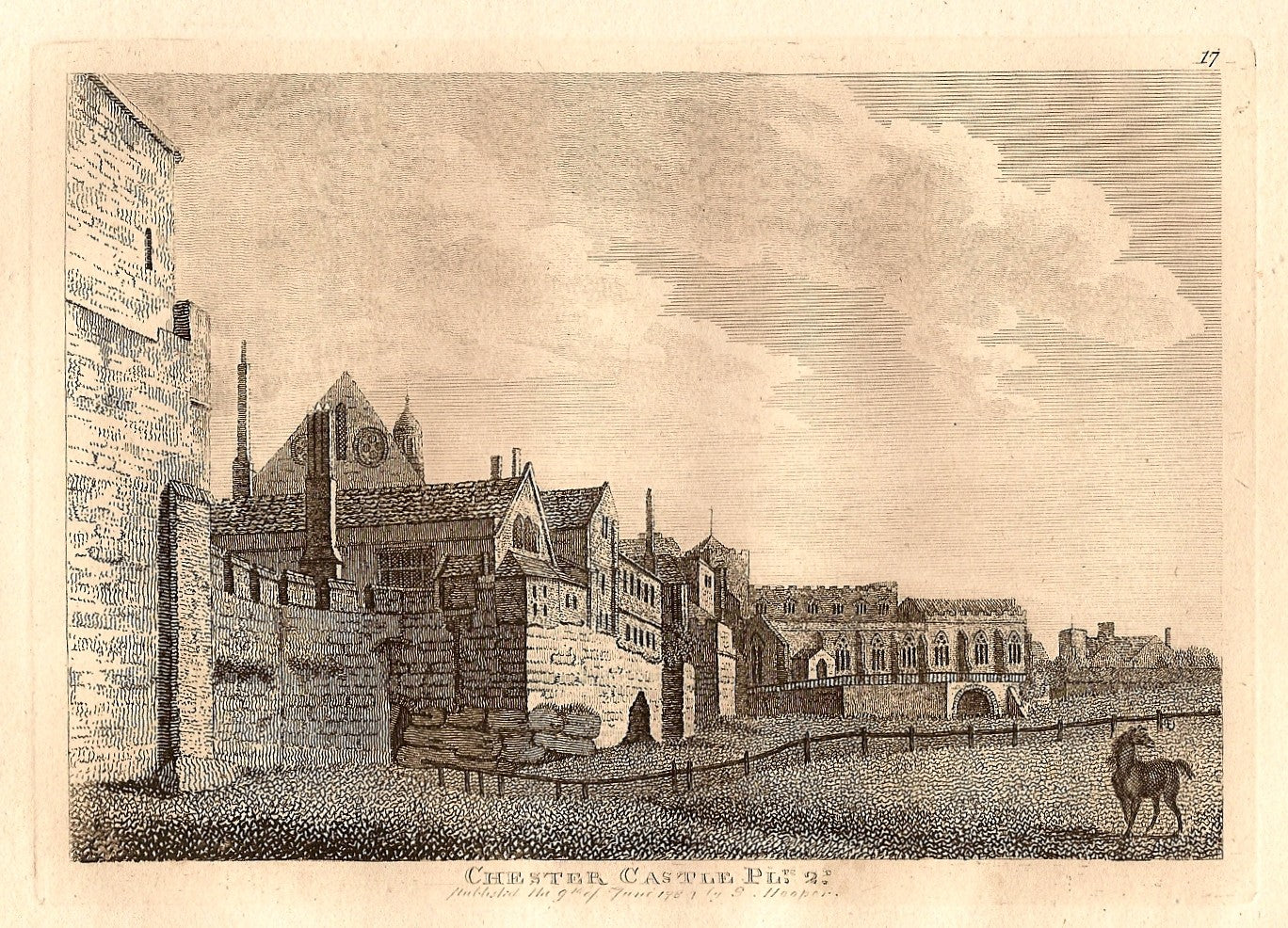 Chester Castle Cheshire antique print 1784
