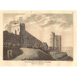 Water Tower or New Tower Chester antique print 1783