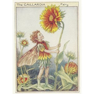 Garden Flower Fairies Gaillardia Fairy old print