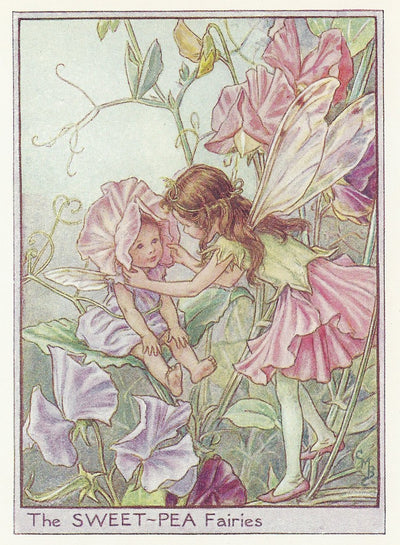 Sweet Pea Fairy Garden Flower Fairies old print