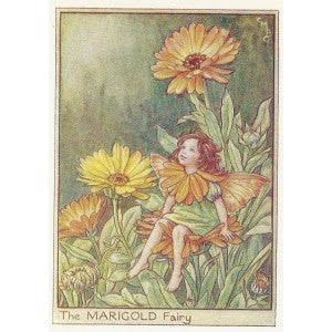 Marigold Fairy Flower Fairies original vintage print