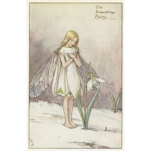 Snowdrop Flower Fairy guaranteed vintage print for sale