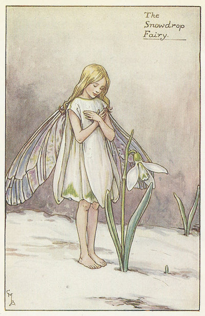 Snowdrop Flower Fairies Fairy old print for sale