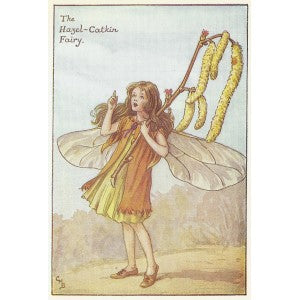Hazel-Catkin Flower Fairy guaranteed original vintage print for sale
