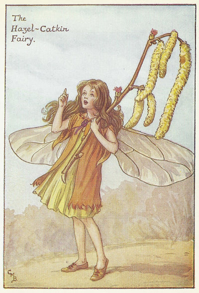 Hazel-Catkin Flower Fairy guaranteed original vintage print for sale