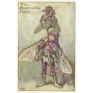 Flower Fairies Dead-Nettle Fairy original vintage print