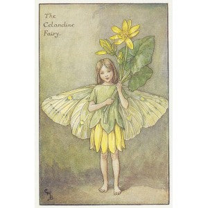 Flower Fairies Celandine Fairy available for sale