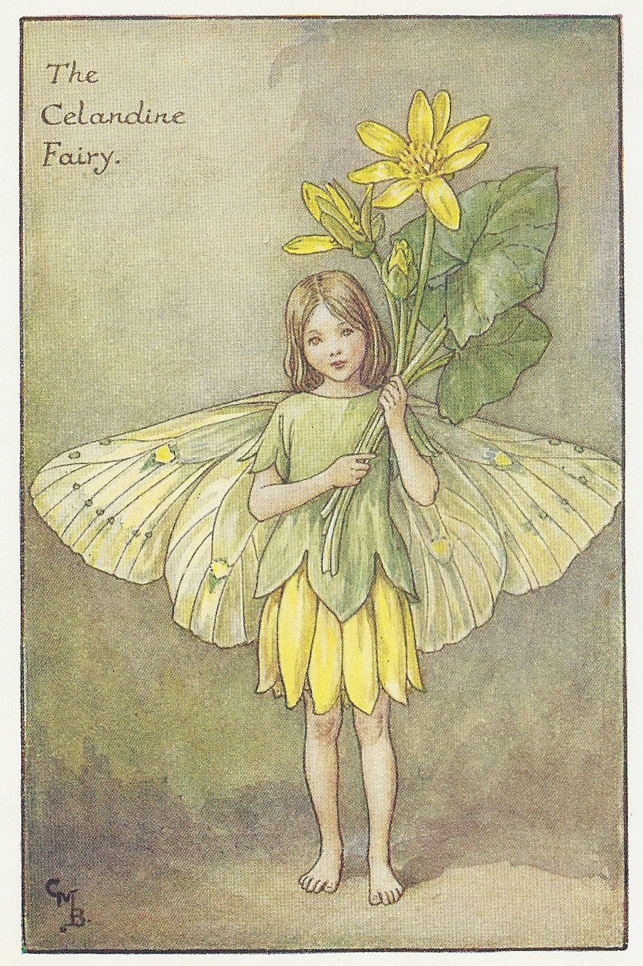 Celandine Flower Fairy guaranteed vintage print for sale