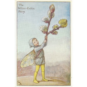 Flower Fairies. Willow-Catkin Flower Fairy original vintage print