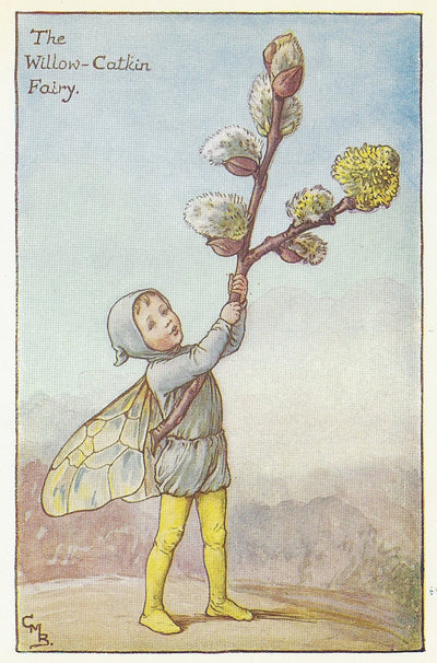 Flower Fairies. Willow-Catkin Flower Fairy original vintage print