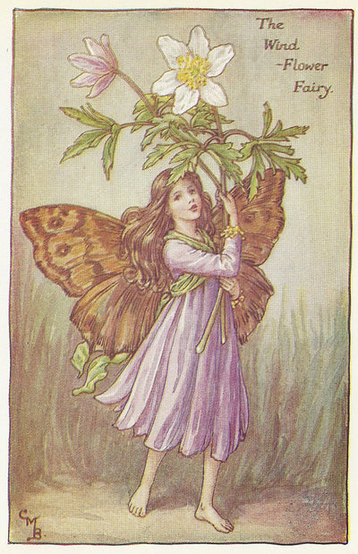 Wind Flower Fairy of Spring guaranteed vintage print