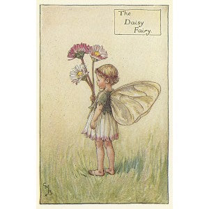 Daisy Flower Fairy original Cicely Mary Barker vintage print