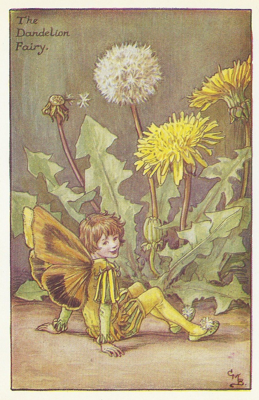 Dandelion Flower Weed Fairy old vintage print