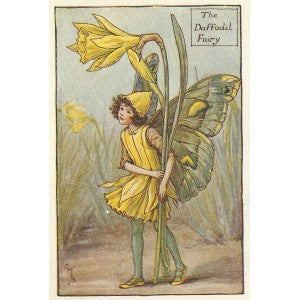 Daffodil Spring Flower Fairy guaranteed vintage print