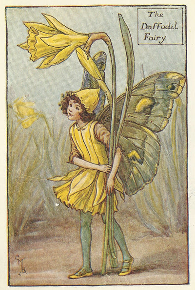 Daffodil Spring Flower Fairy collectable vintage print