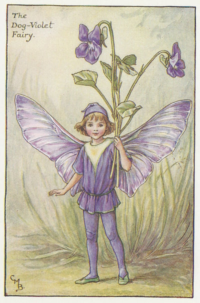 Dog-Violet Flower Fairy original vintage print