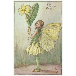 Primrose Fairy Spring Fairies old print for sale