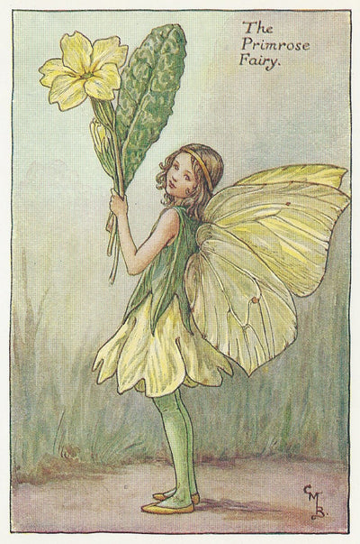 Primrose Fairy Spring Fairies old print for sale