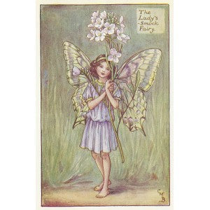 Spring Fairies Lady's Smock Fairy print for sale