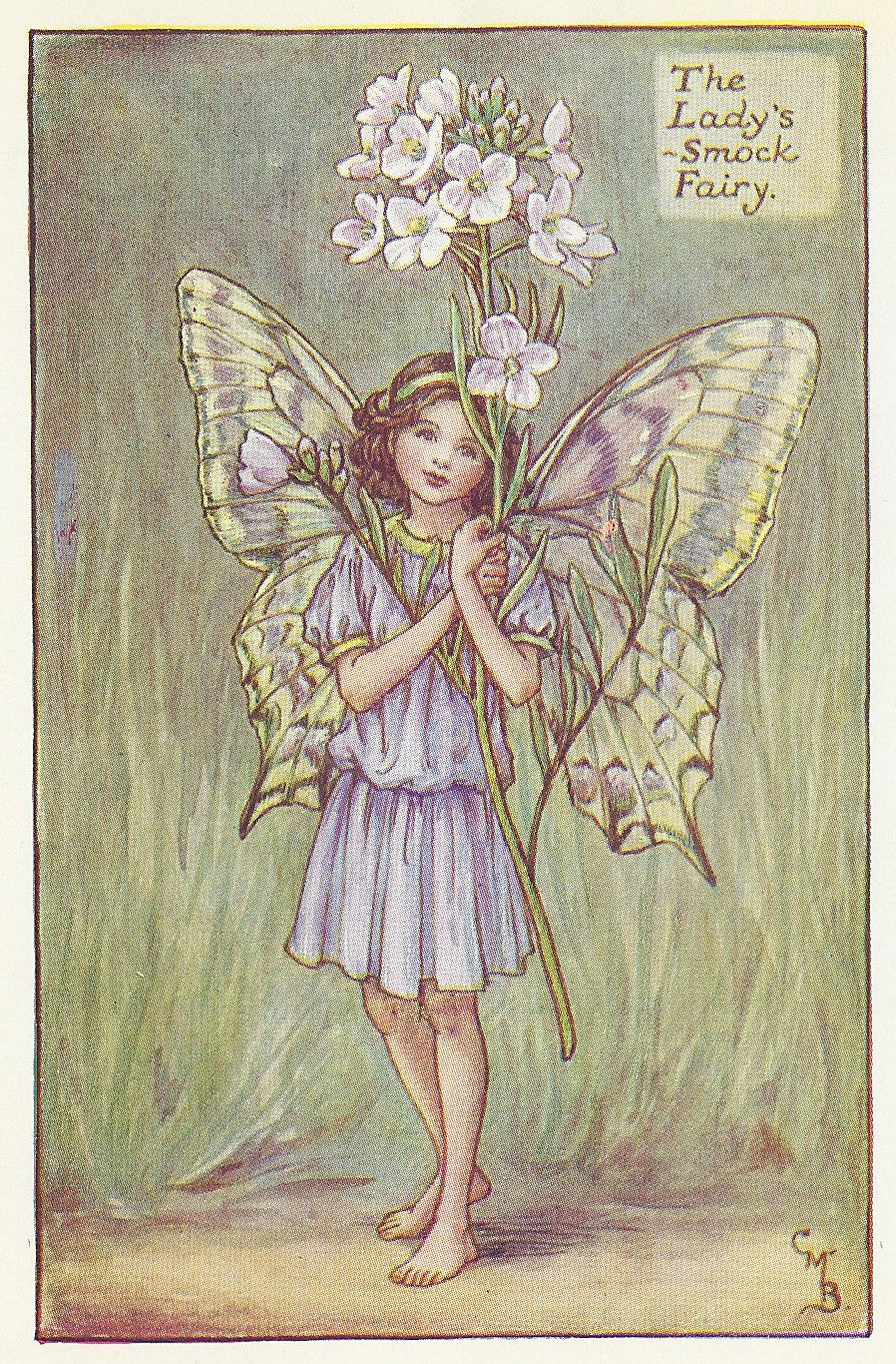Spring Fairies Lady's Smock Fairy print for sale