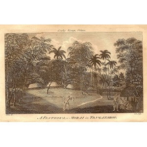 Tonga antique print