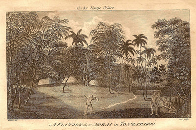 Tonga antique print