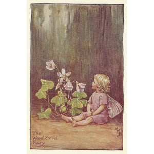 Wood-Sorrel Flower Fairy vintage print for sale