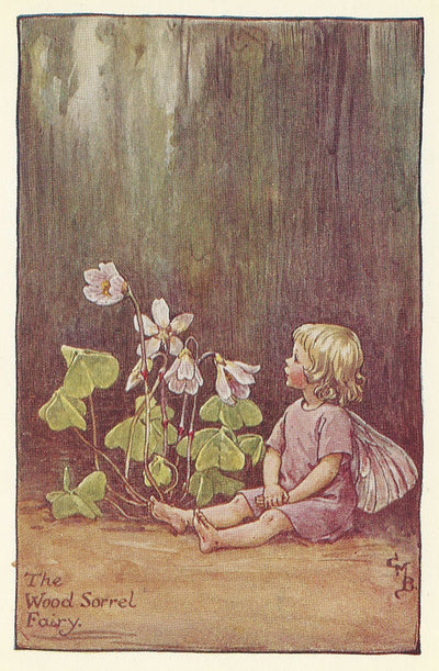 Wood-Sorrel Flower Fairy vintage print for sale