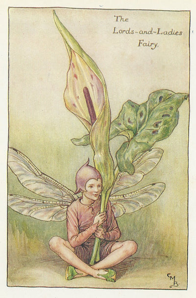 Lords & Ladies Flower Fairy vintage print for sale