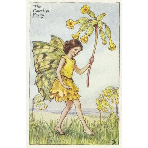 Cowslip Flower Fairy vintage print for sale