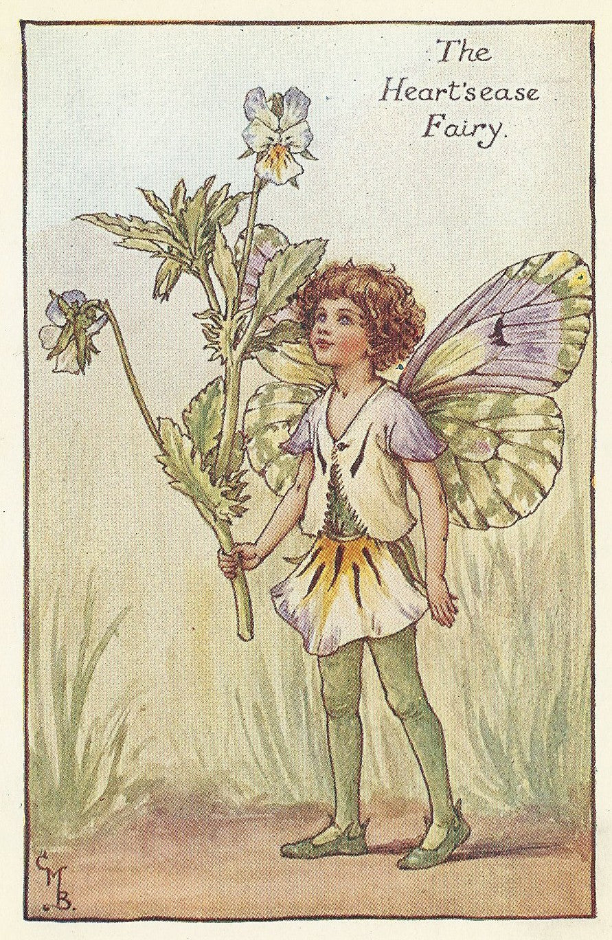 Heart's-Ease Flower Fairy vintage print for sale