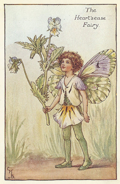 Heart's-Ease Flower Fairy vintage print for sale