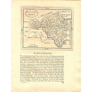 Radnorshire antique map 4
