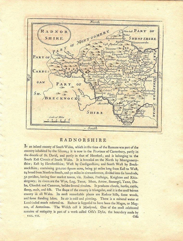 Radnorshire antique map 4