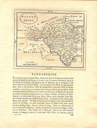 Radnorshire antique map 4