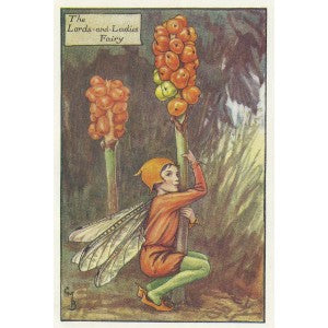 Lords and Ladies Flower Fairy guaranteed vintage print