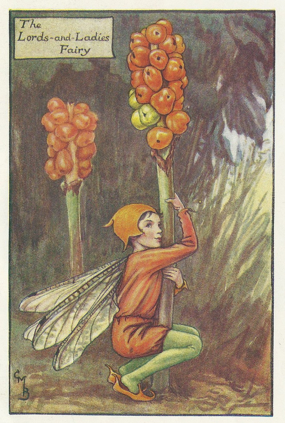 Lords and Ladies Flower Fairy vintage print