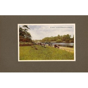 Kensington Gardens and the Round Pond antique print 1914