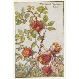 Robin's Pincushion Flower Fairy vintage print