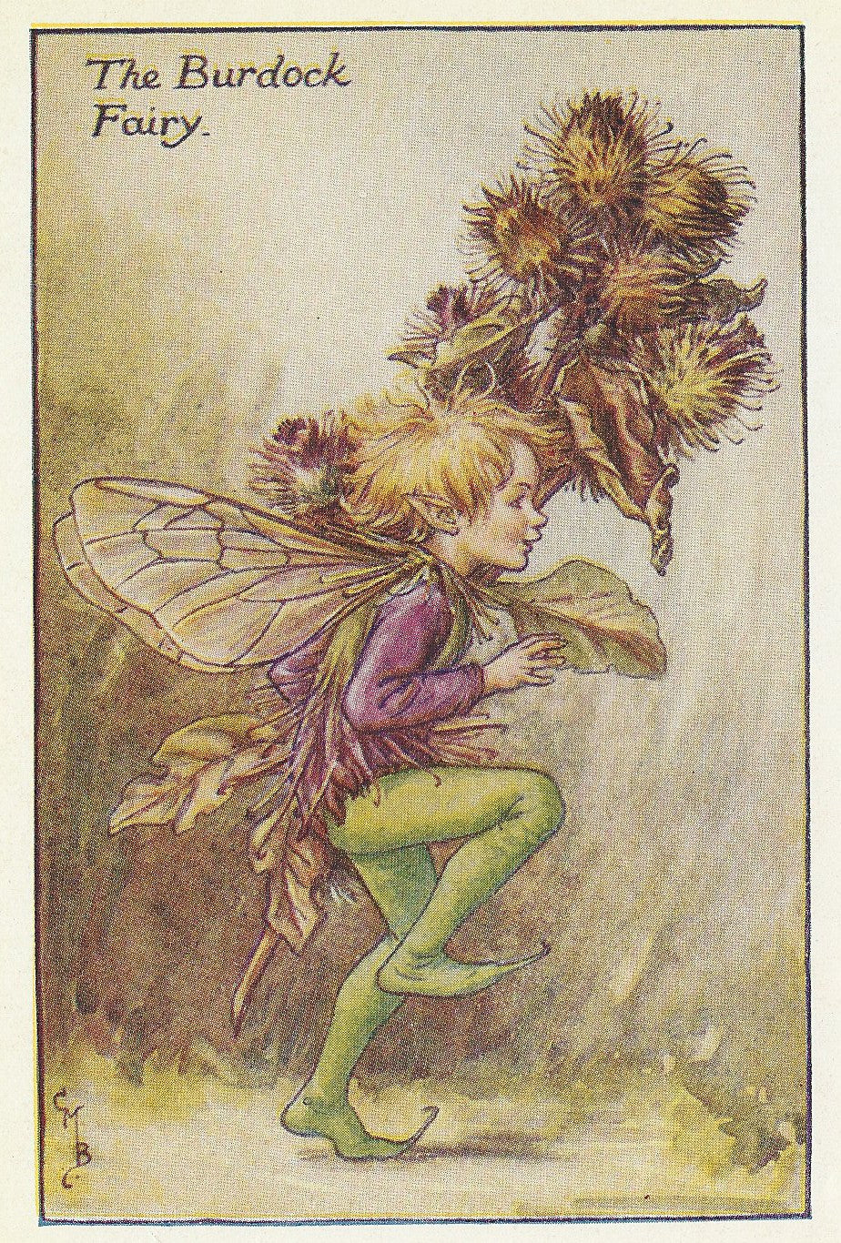 Burdock Flower Fairy guaranteed original vintage print