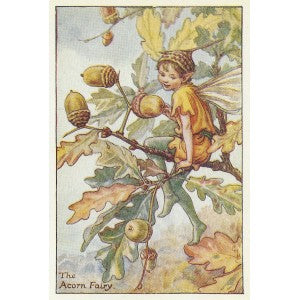 Acorn Flower Fairy guaranteed original vintage print
