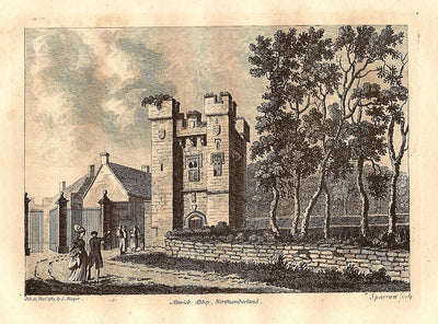 Alnwick Abbey Northumberland antique print 1784