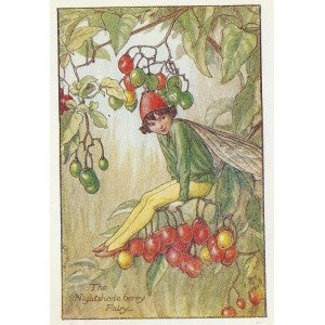 Nightshade Berry Flower Fairy guaranteed vintage print