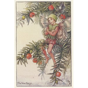 Yew Flower Fairy guaranteed original vintage print