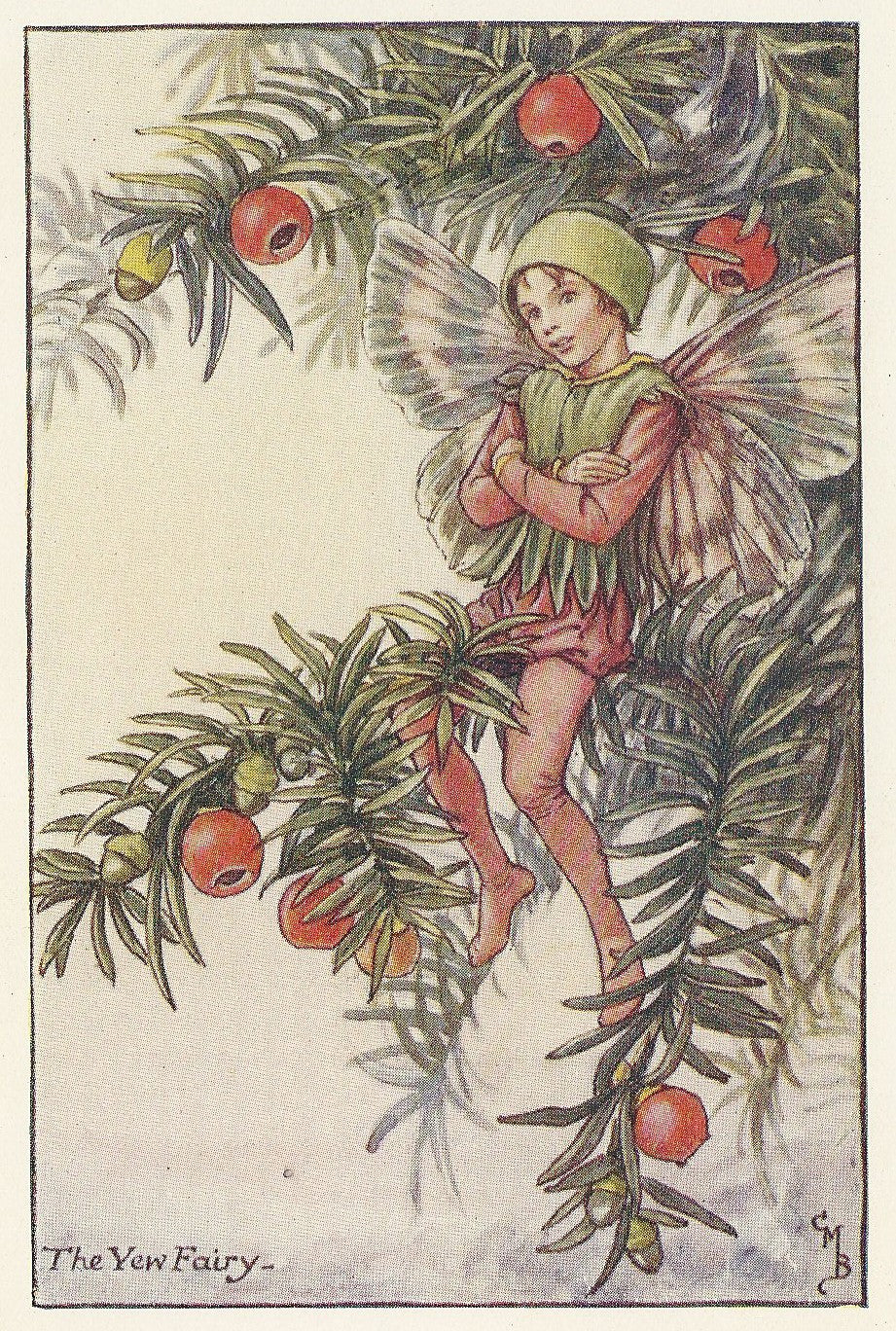 Yew Flower Fairy guaranteed original vintage print