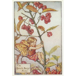 Spindle Berry Flower Fairy guaranteed original vintage print