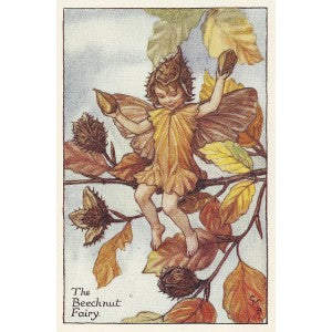 Beechnut Flower Fairy vintage original print