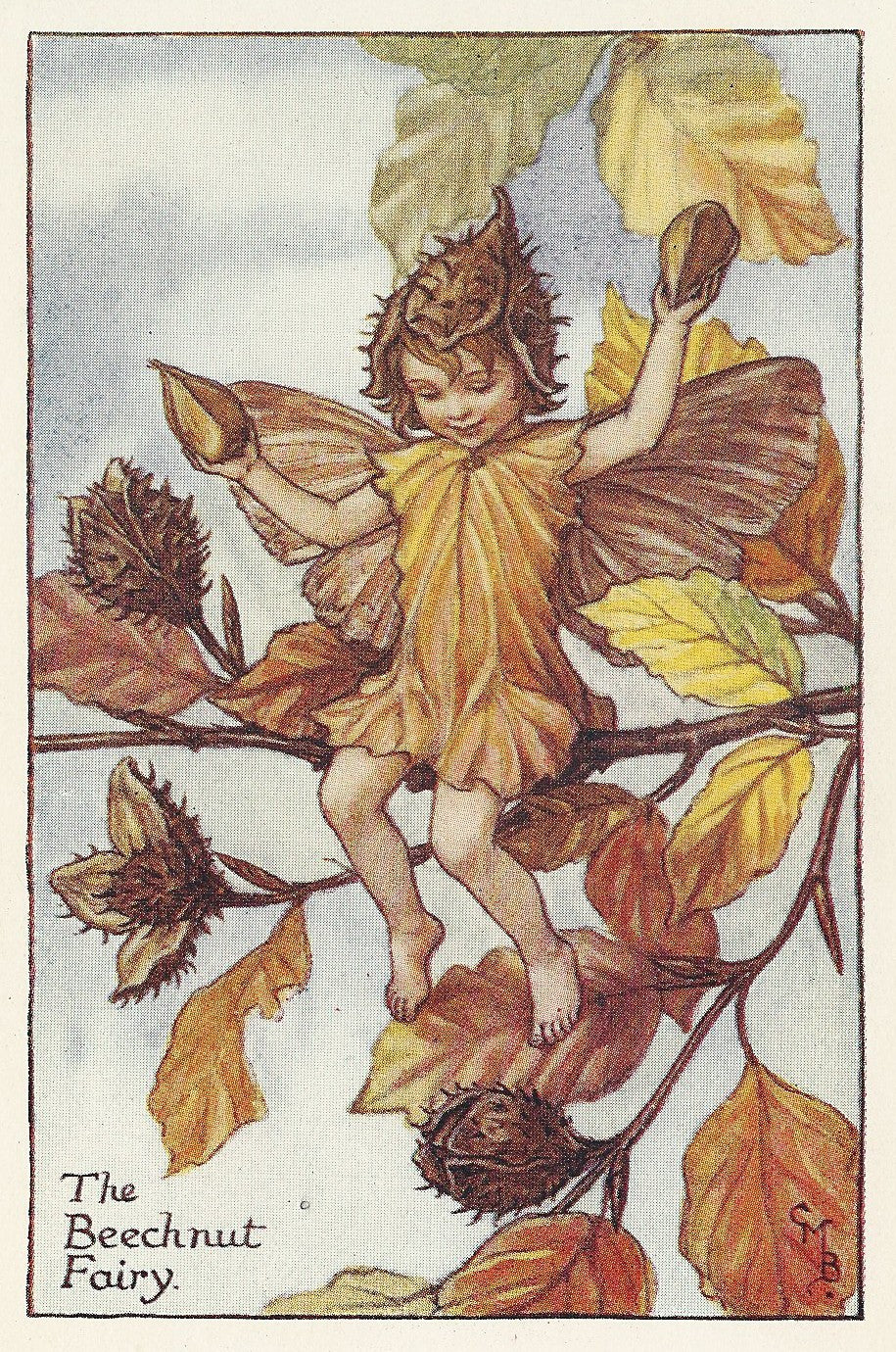Beechnut Flower Fairy vintage original print