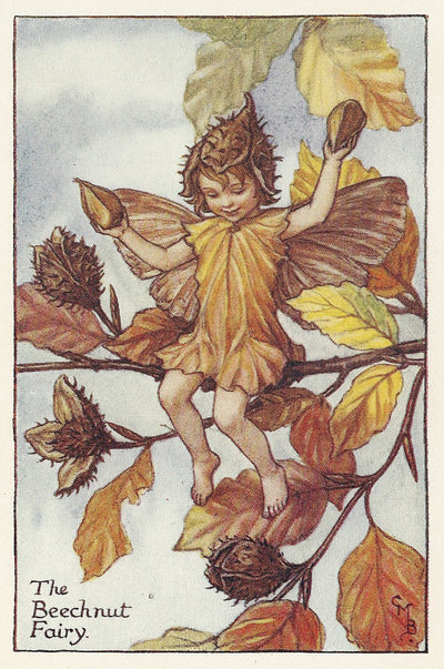 Beechnut Flower Fairy guaranteed vintage original print